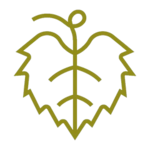 REGENERATING OUR SOILS.png